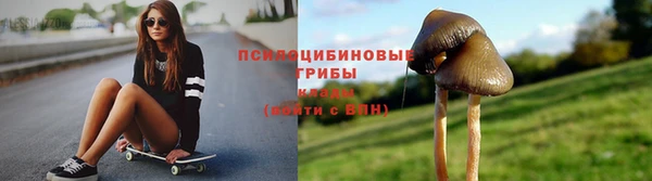 мяу мяу мука Белокуриха